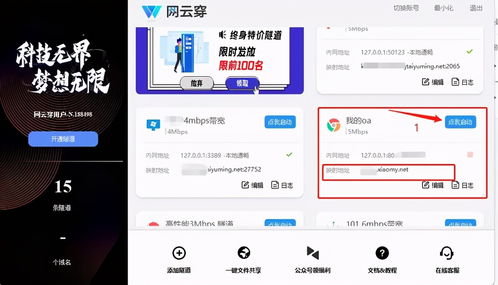 没有公网ip 如何在外网远程访问公司内网的oa系统